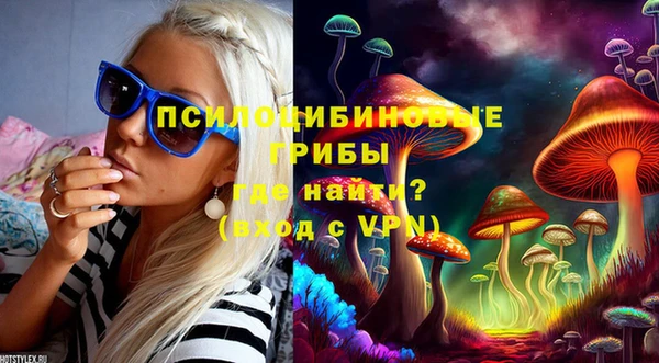 дживик Абинск